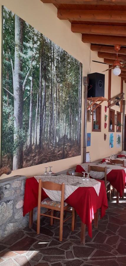 Albergo Nuoitas Forni di Sopra Exterior photo