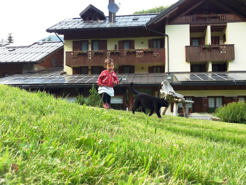 Albergo Nuoitas Forni di Sopra Exterior photo